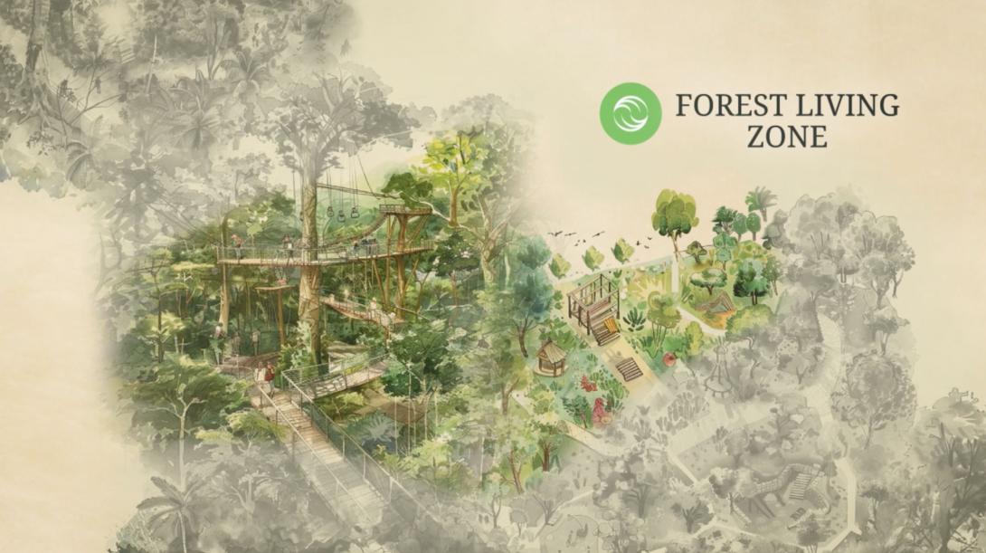 Forest Living Zone
